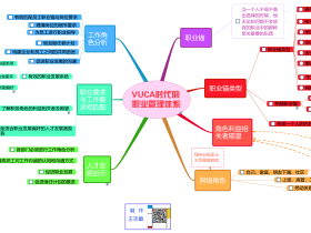 VUCA时代的职业管理体系