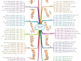 人体十二经络主要穴位