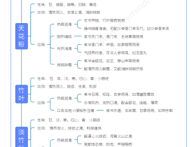 中 药 ▪ 清热类 ▪ 清热泻火药