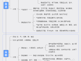 补虚中药-补气类中药