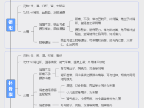 补虚中药–补阳类中药