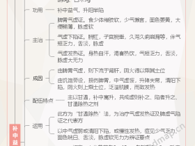 《方剂学》补益剂-补气剂