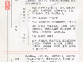 《方剂学》补益剂-补阳剂