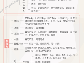 《方剂学》补益剂-补阴剂